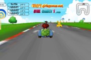 Crazy Turtle Car Racing Icon